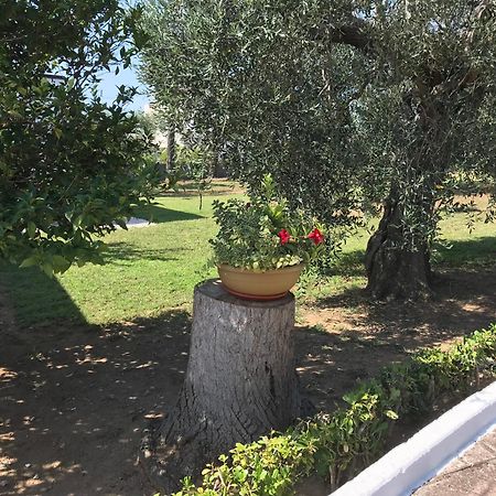 Villa Il Carrubo - Basilicata Pisticci Extérieur photo