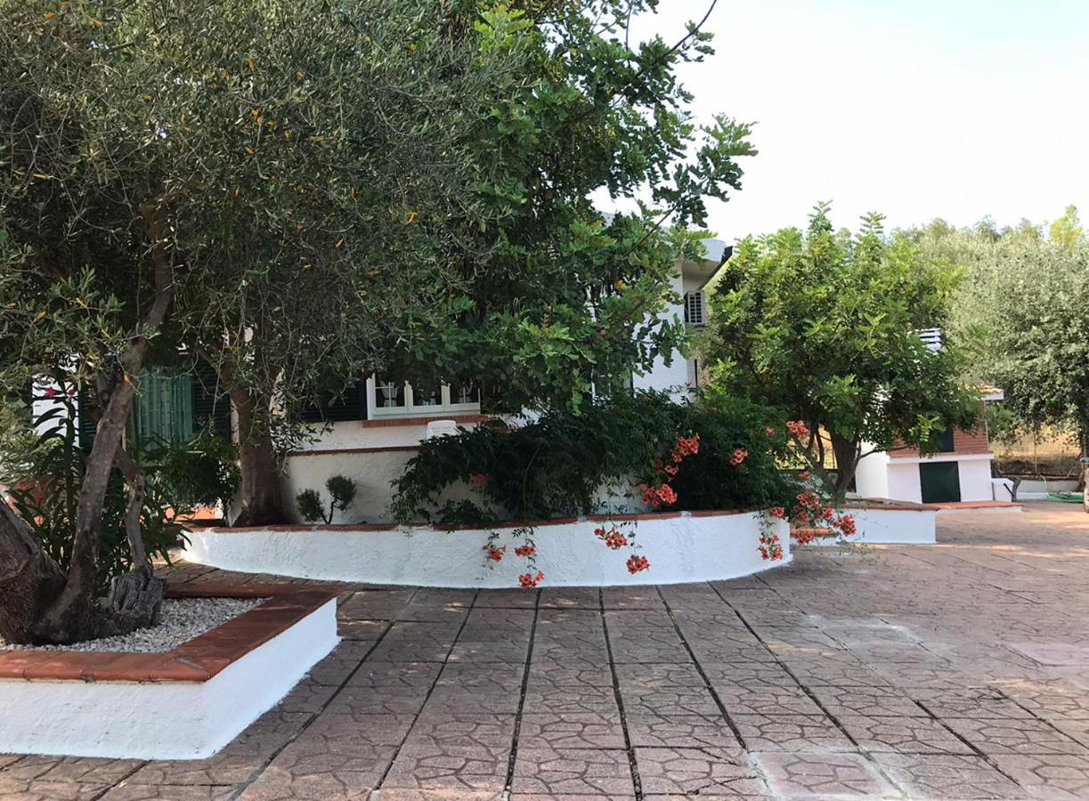 Villa Il Carrubo - Basilicata Pisticci Extérieur photo