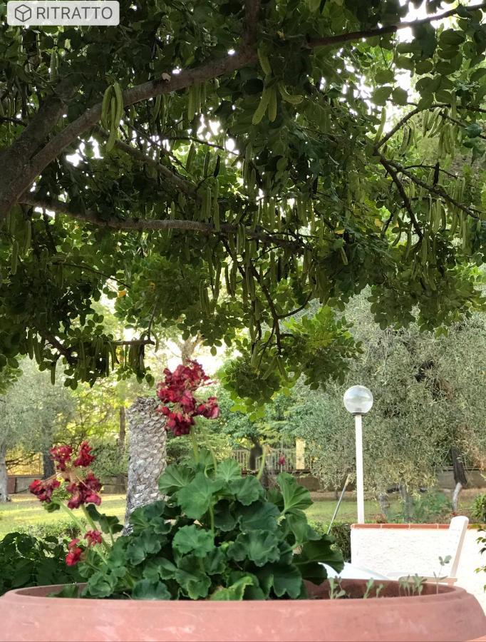 Villa Il Carrubo - Basilicata Pisticci Extérieur photo