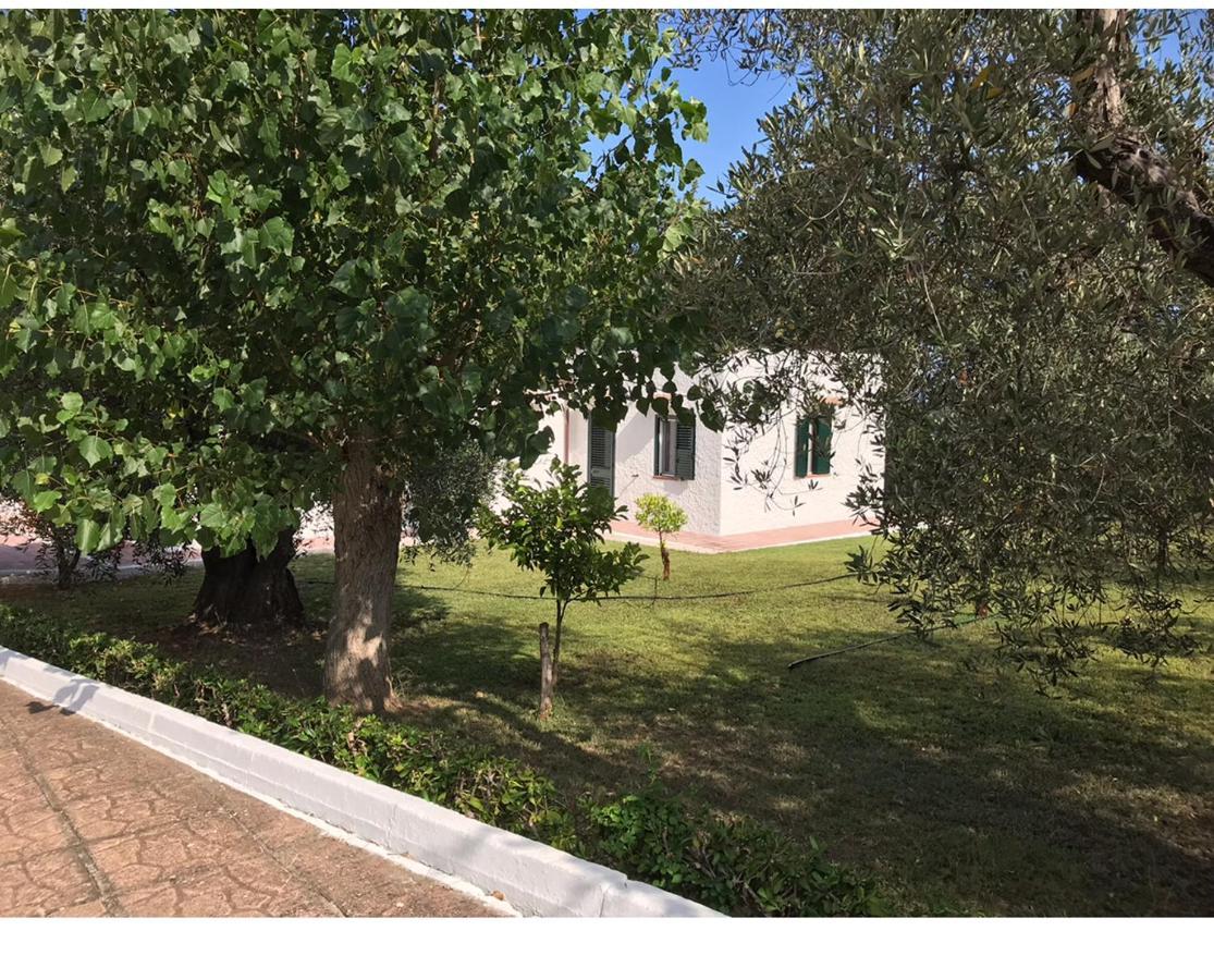 Villa Il Carrubo - Basilicata Pisticci Extérieur photo