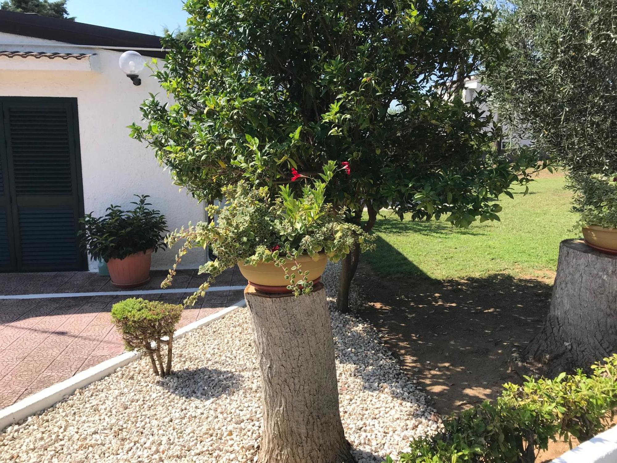 Villa Il Carrubo - Basilicata Pisticci Extérieur photo