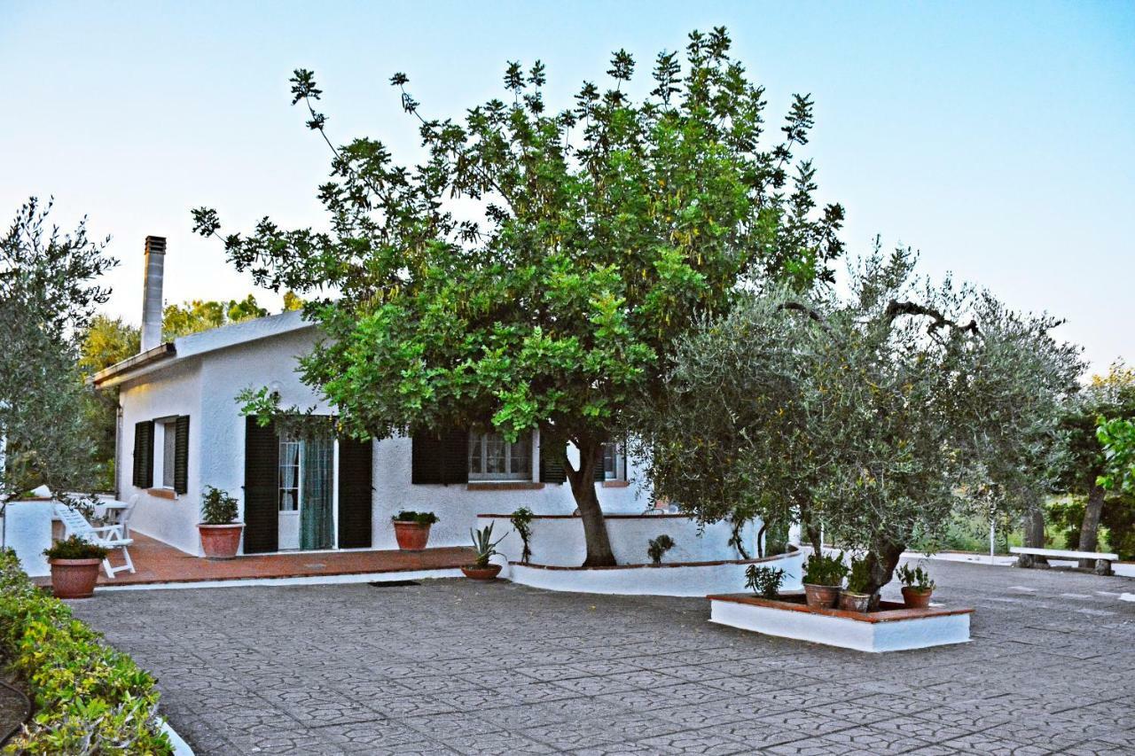 Villa Il Carrubo - Basilicata Pisticci Extérieur photo