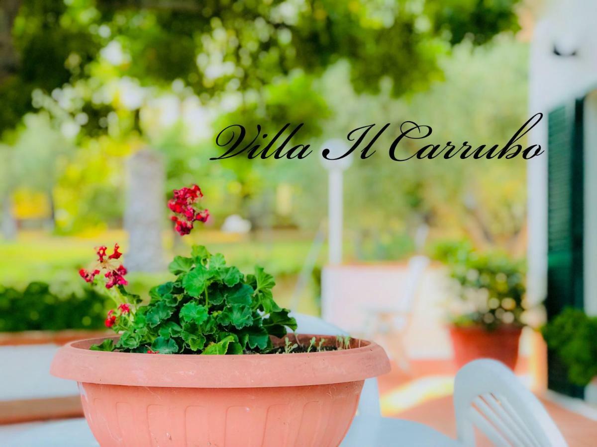 Villa Il Carrubo - Basilicata Pisticci Extérieur photo